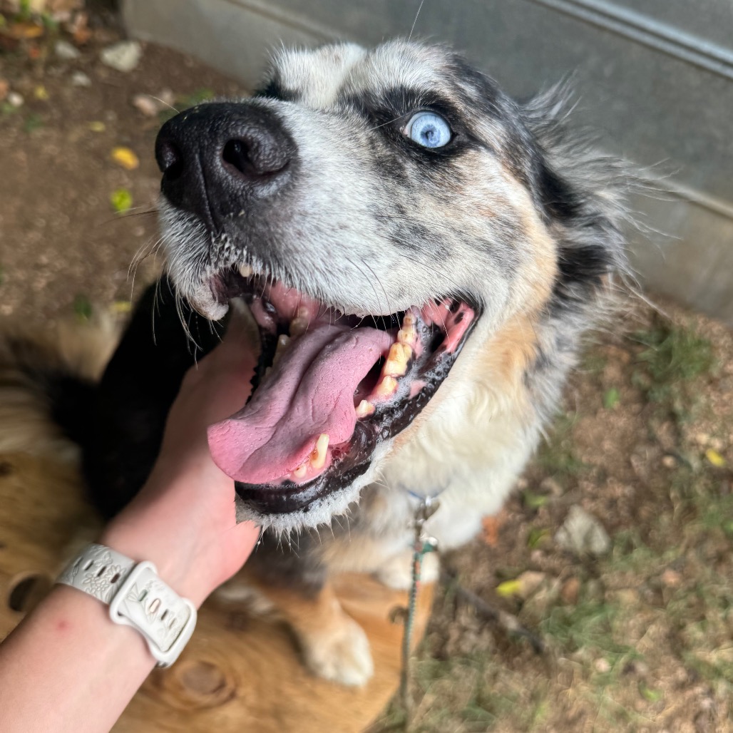 Fondue Platter — thumbnail 9