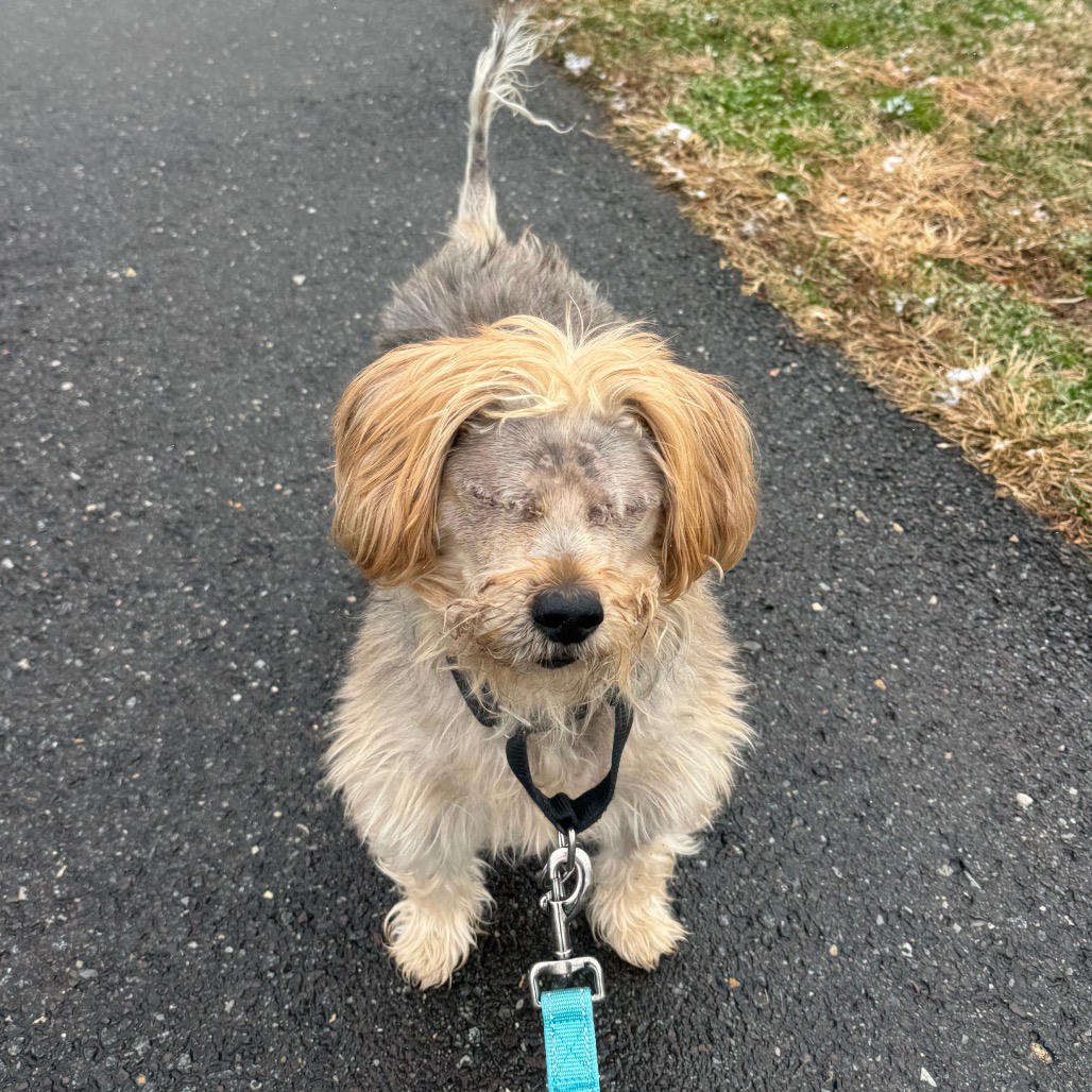 Bear, additional photo