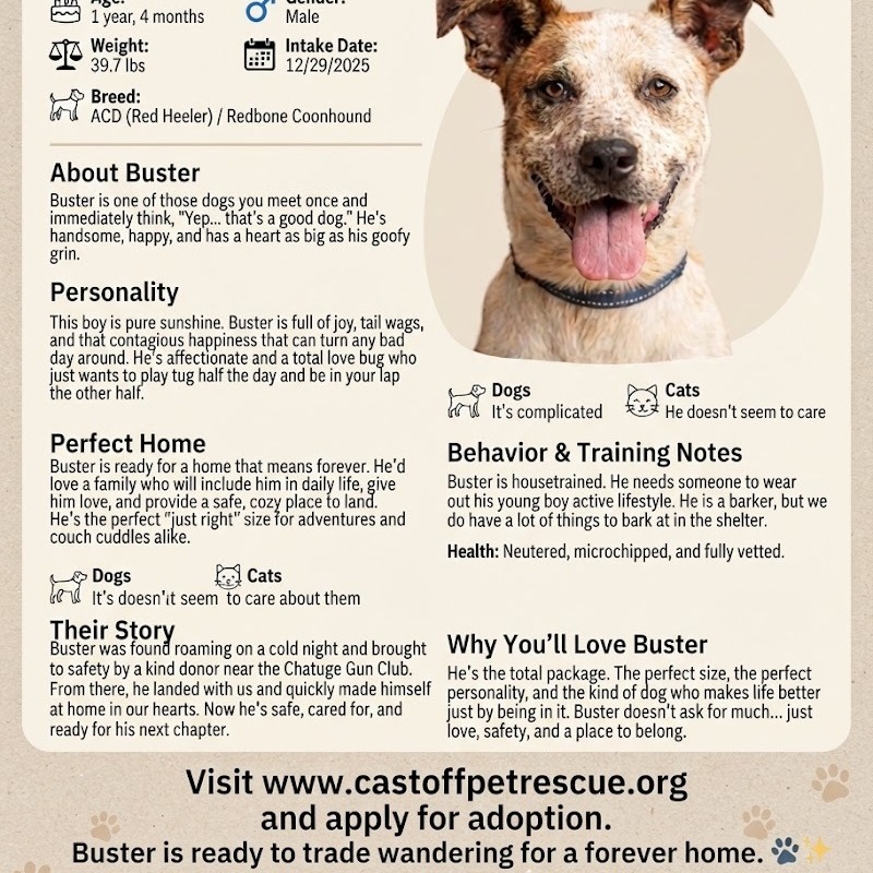 Buster, photo 20