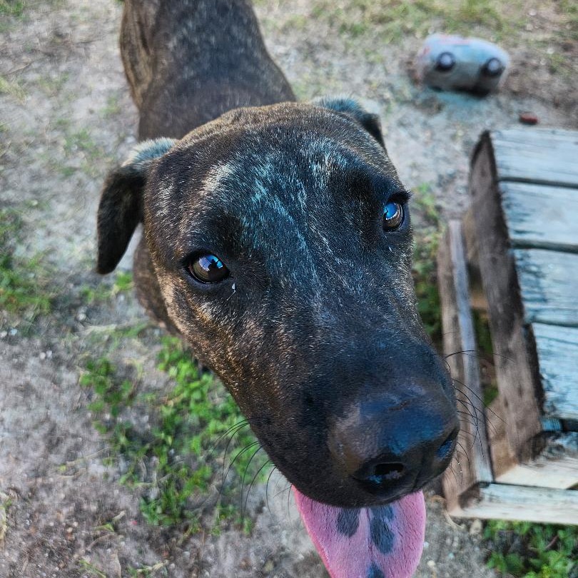 Murph photo 6
