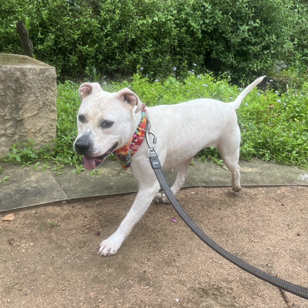 Angie — thumbnail 10