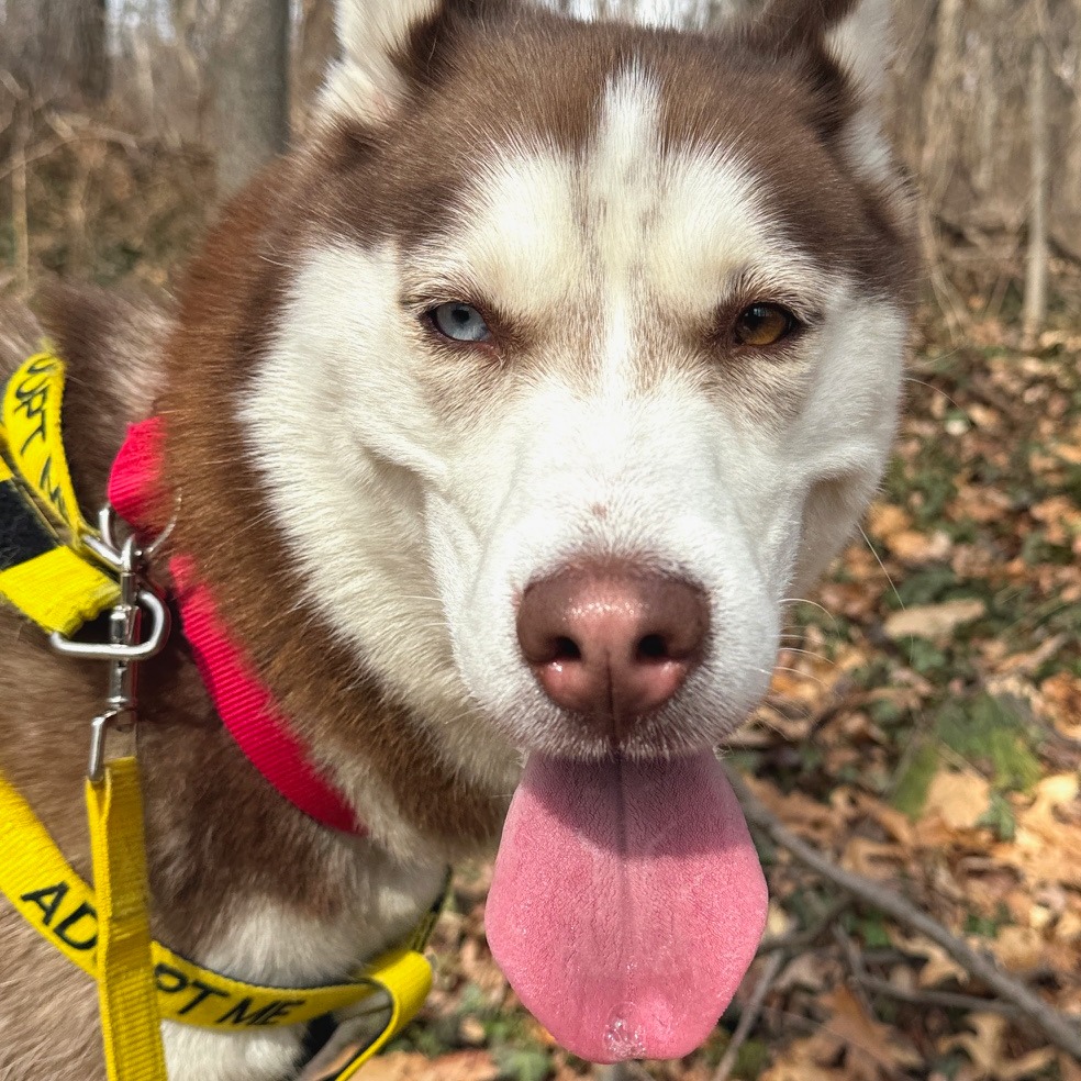 Pandora — thumbnail 2