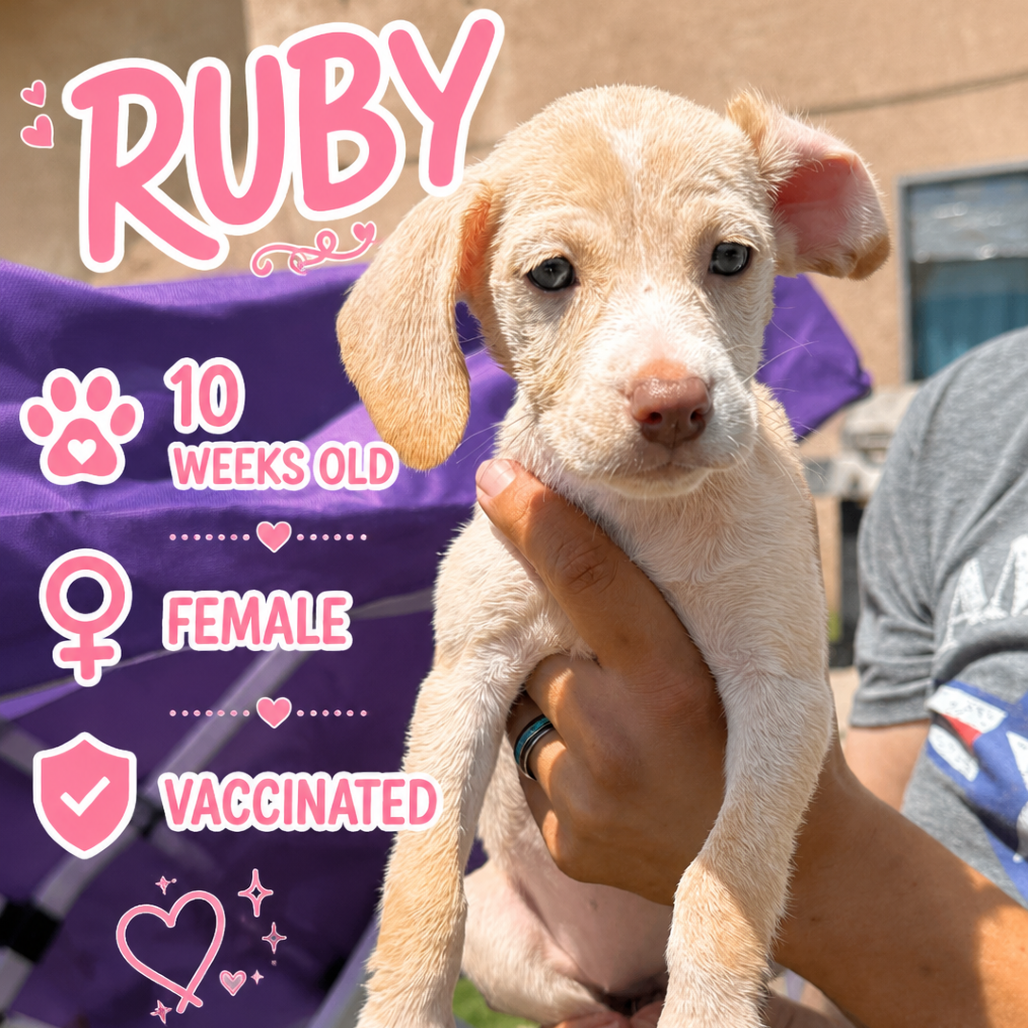 Ruby