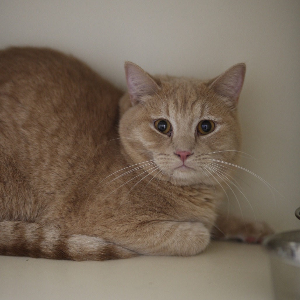 Zeus — thumbnail 2