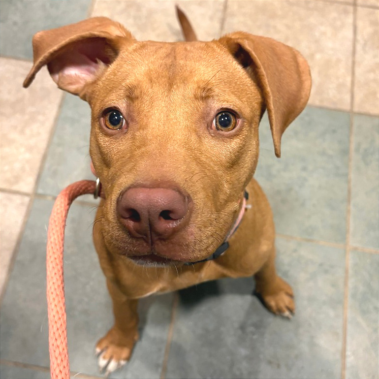 Missy — thumbnail 3