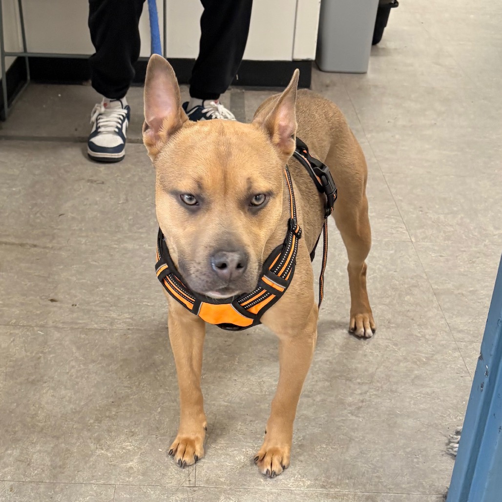 Sprinkles — thumbnail 3