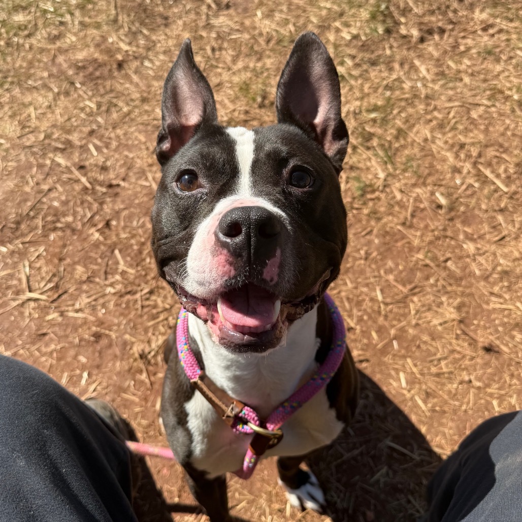 e09ac54e44609b09caef709a304e81de