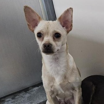 Kennel#14a's preview photo