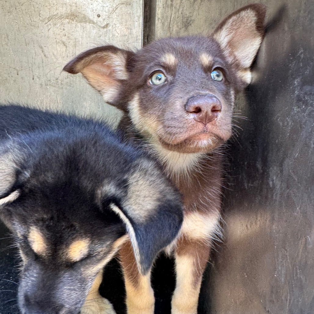Sally