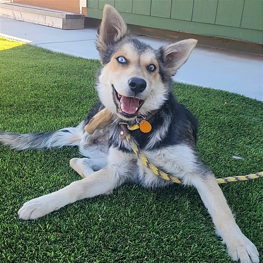 Lita — thumbnail 2