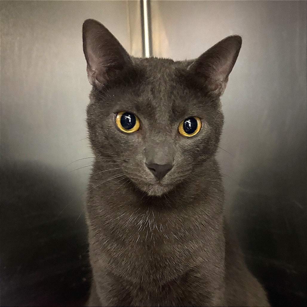 Full body shot of Wybie