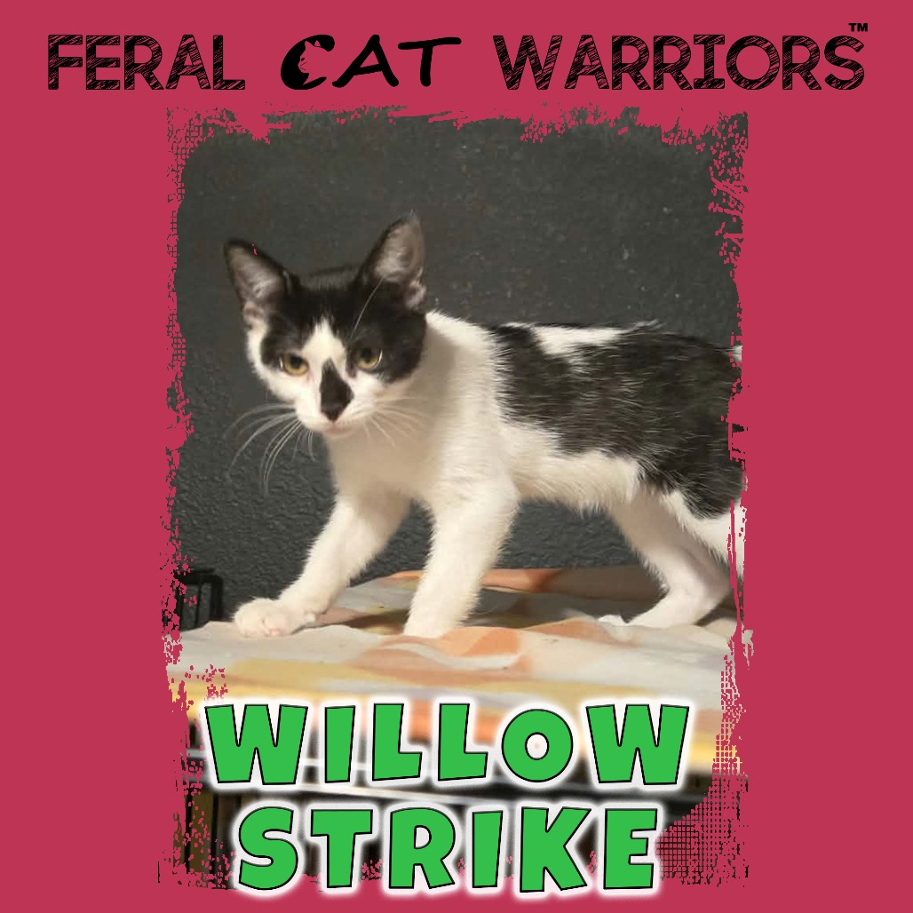 Willow Strike