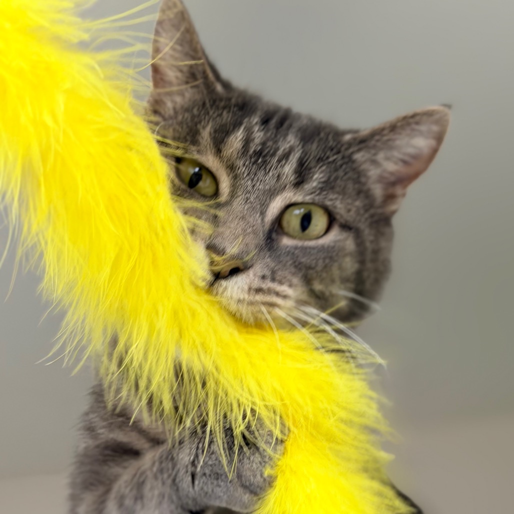 Philomena Cunk — thumbnail 3