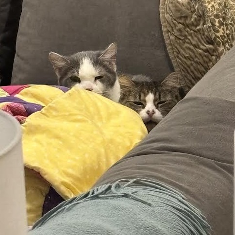 Franklin Parsons and Freddie Pesto - We're a bonded pair! — thumbnail 4