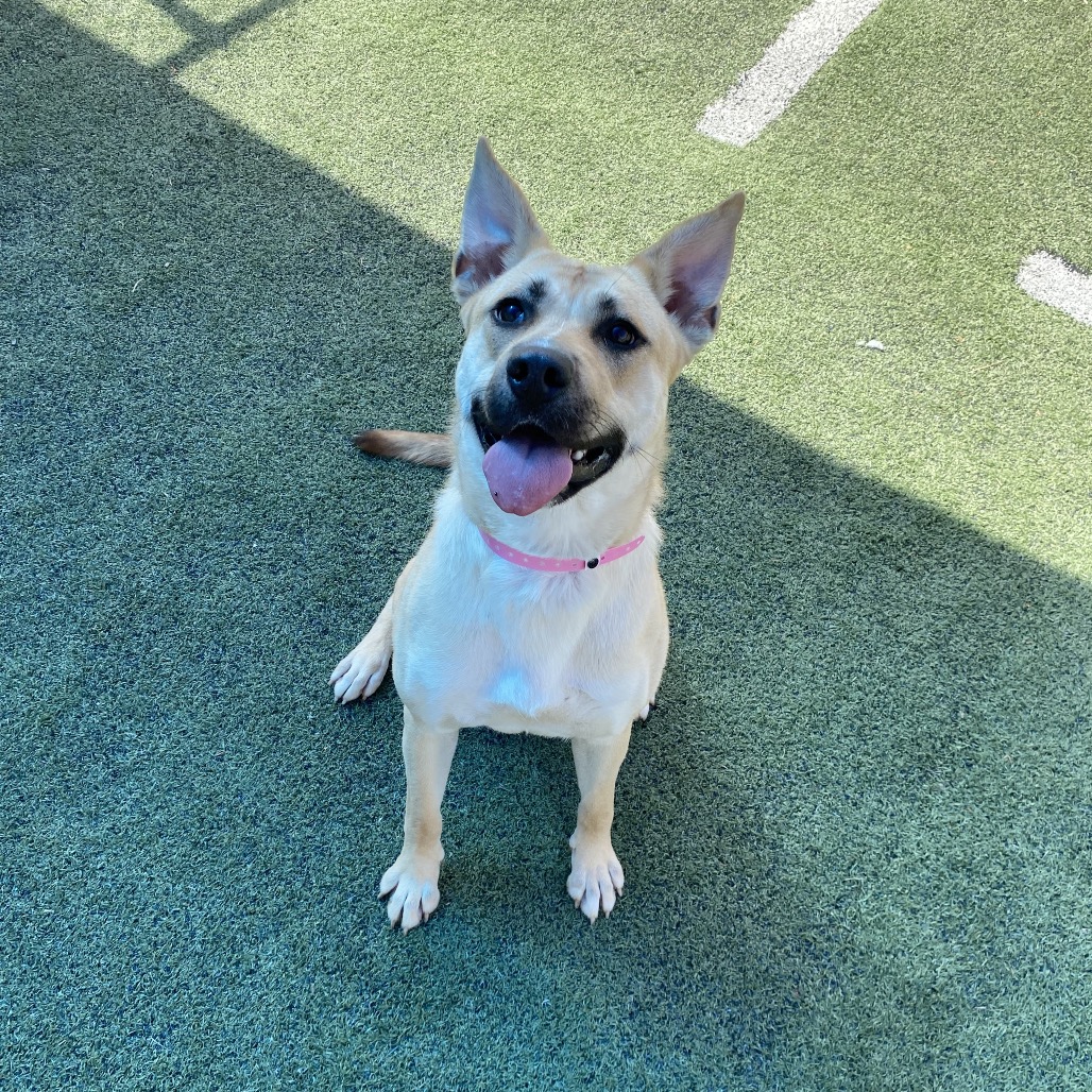 Kiana Lede — thumbnail 2