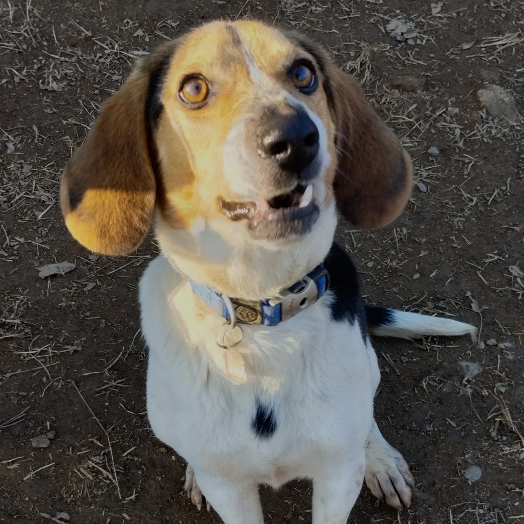 Buster — thumbnail 3