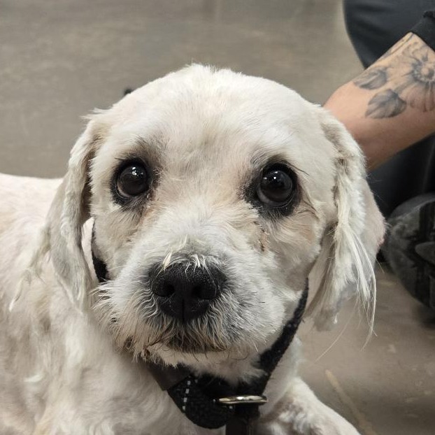 Sullivan — thumbnail 2