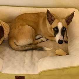 LILAH, photo 9