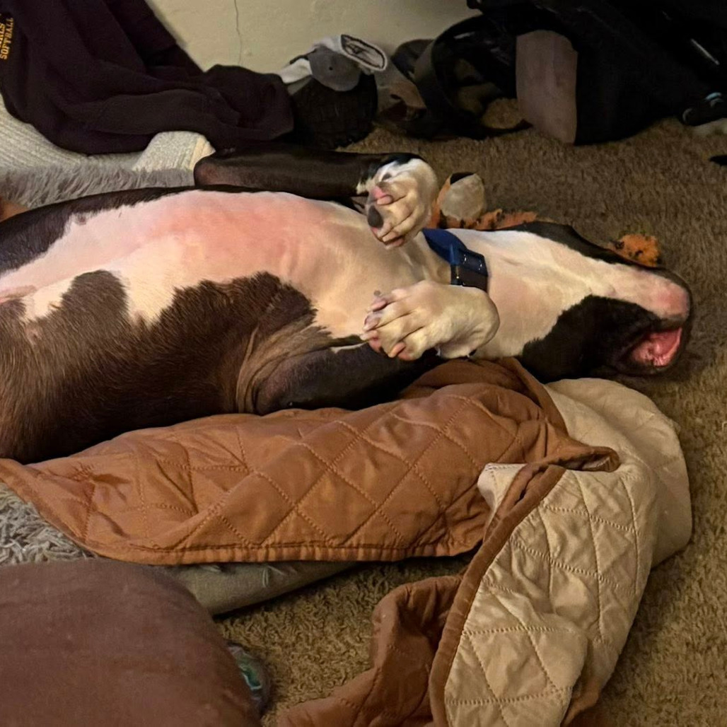 Photo of General Tso 81