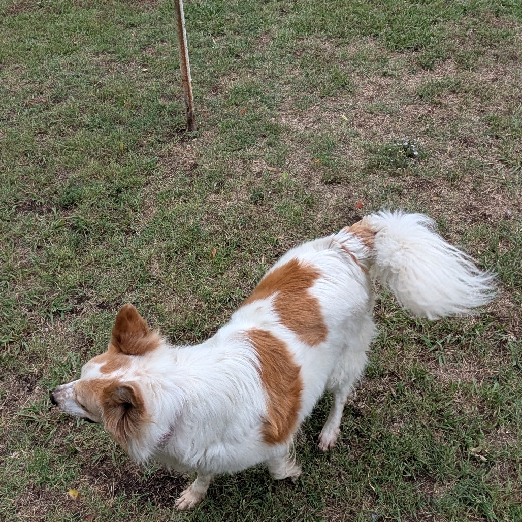 Sandy photo 17