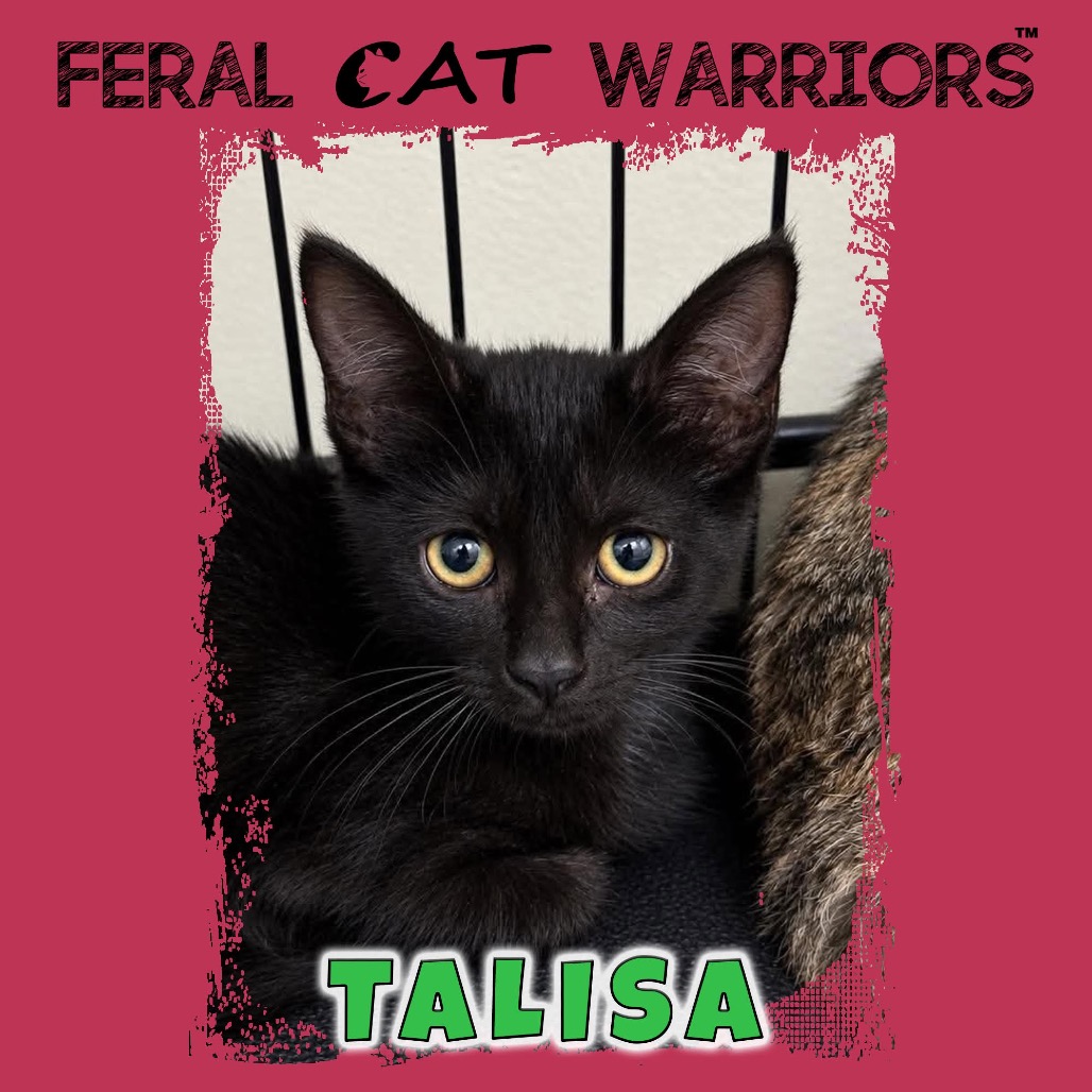 Talisa