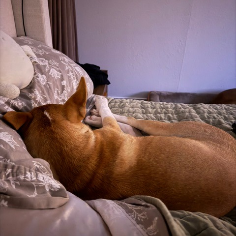 Max photo 11