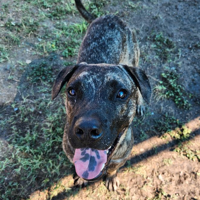 Murph photo 34