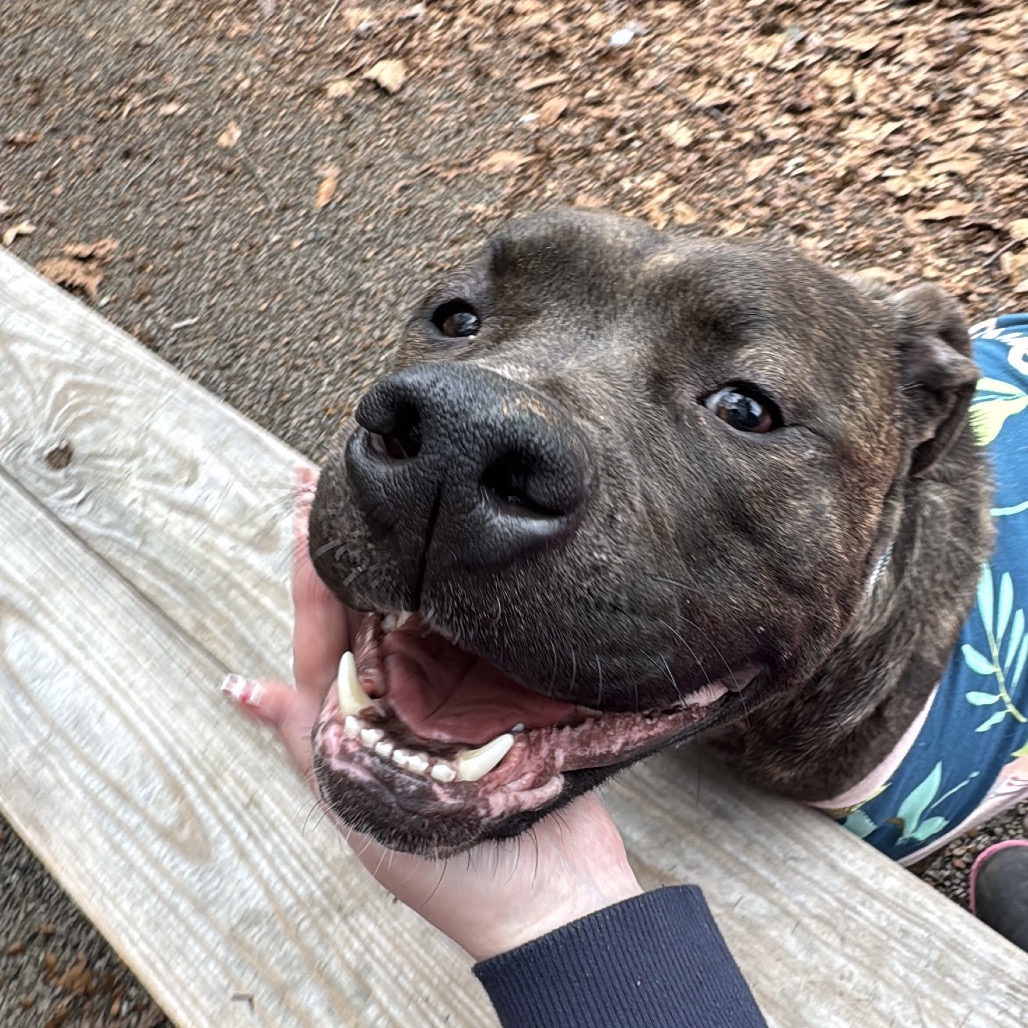 Minnie — thumbnail 4