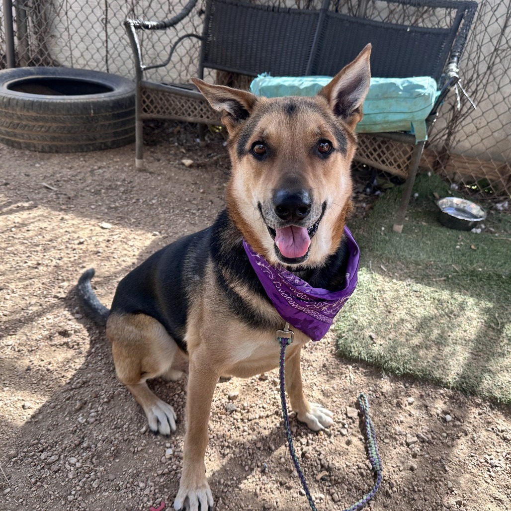 Jackson Pollock — thumbnail 11