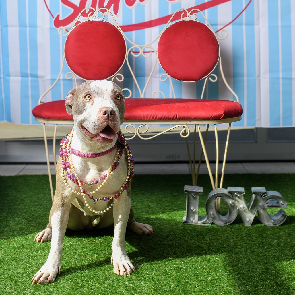 Photo of Mia (Sheila)