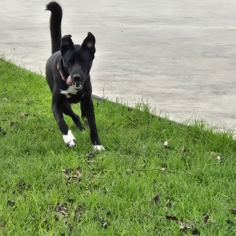 Sabrina, photo 8