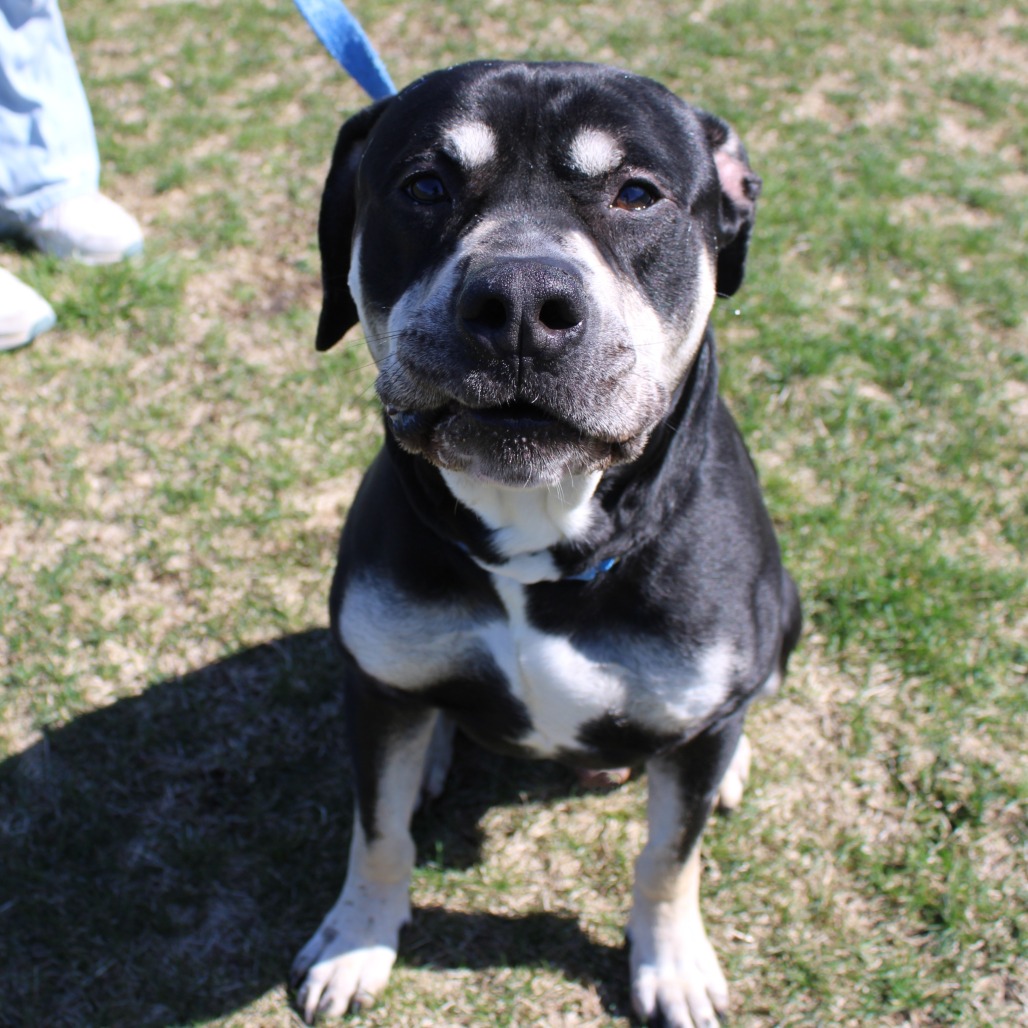 Zeus — thumbnail 5