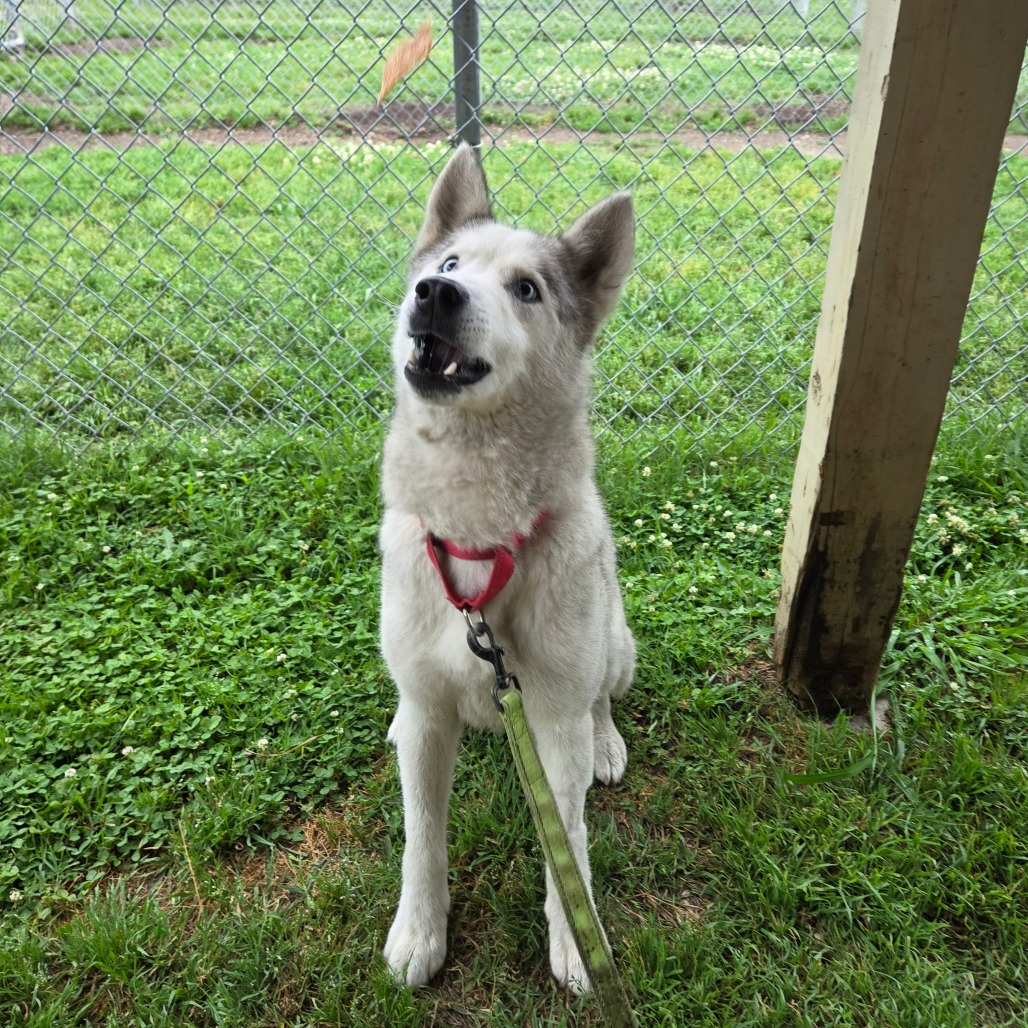 Casper photo 7