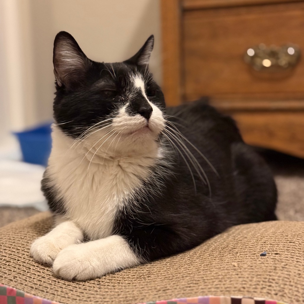 Buddy picture #12