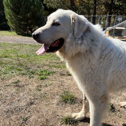 SAMMY, photo 4