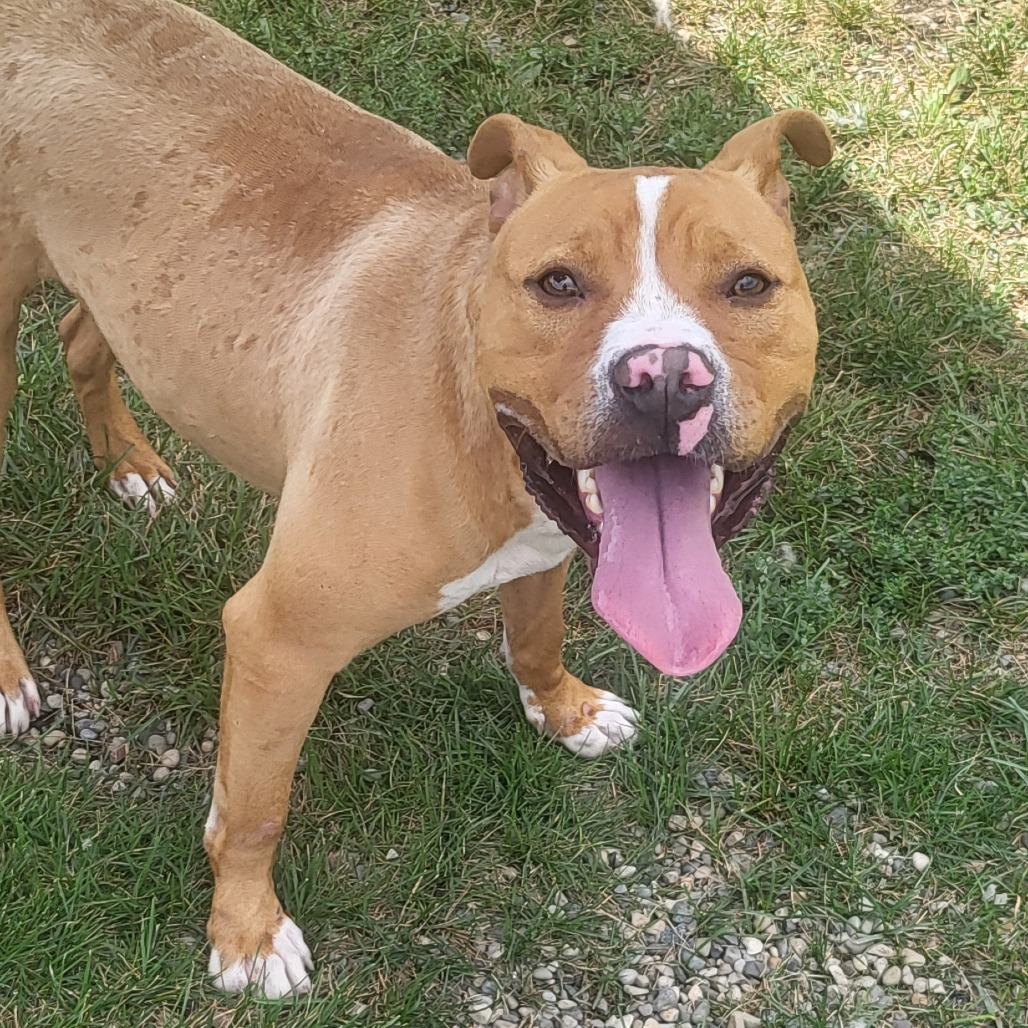 Milo