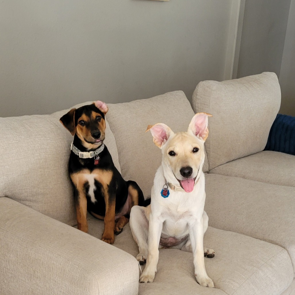 Frasier, photo 27