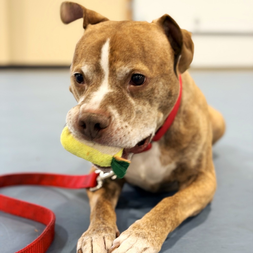 Bruce — thumbnail 5