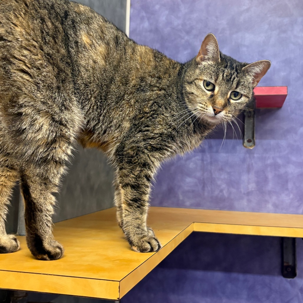 Emma Peal — thumbnail 11