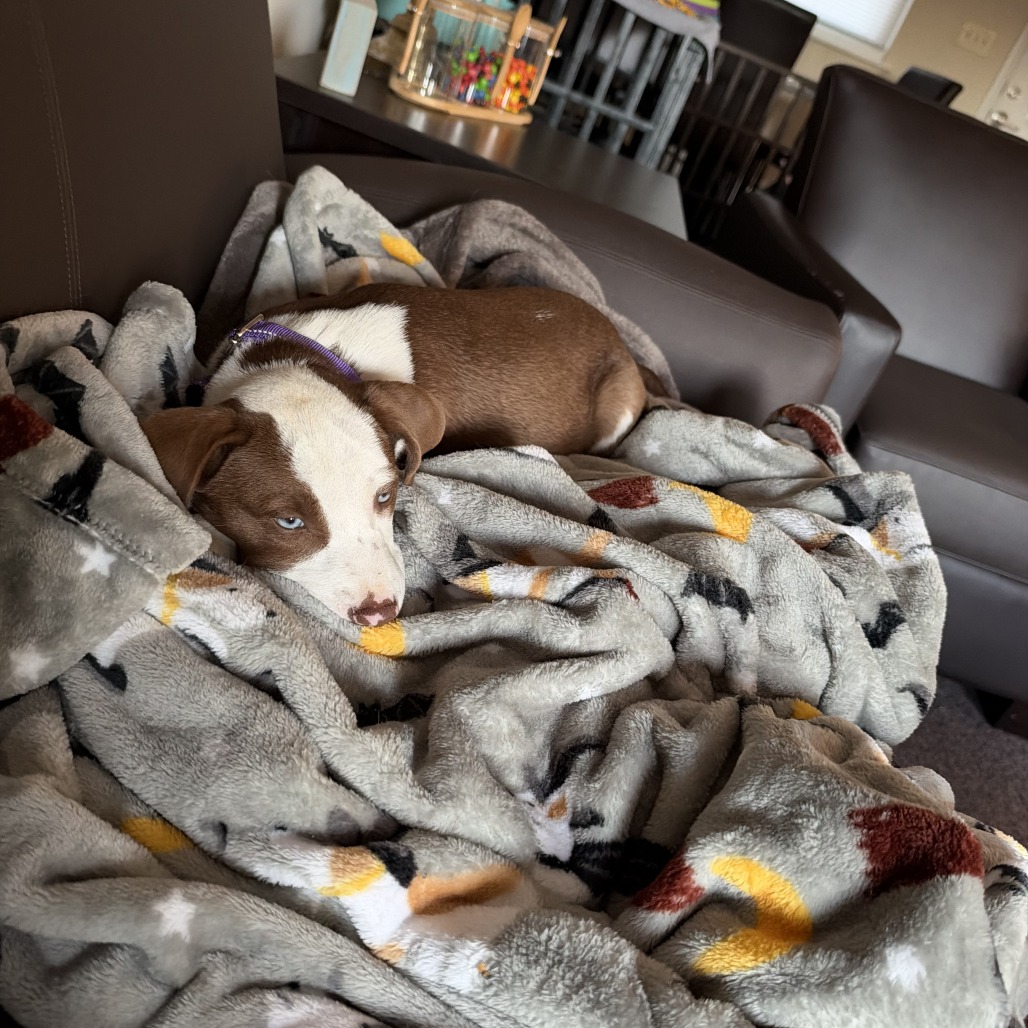 SLEEPY, photo 13