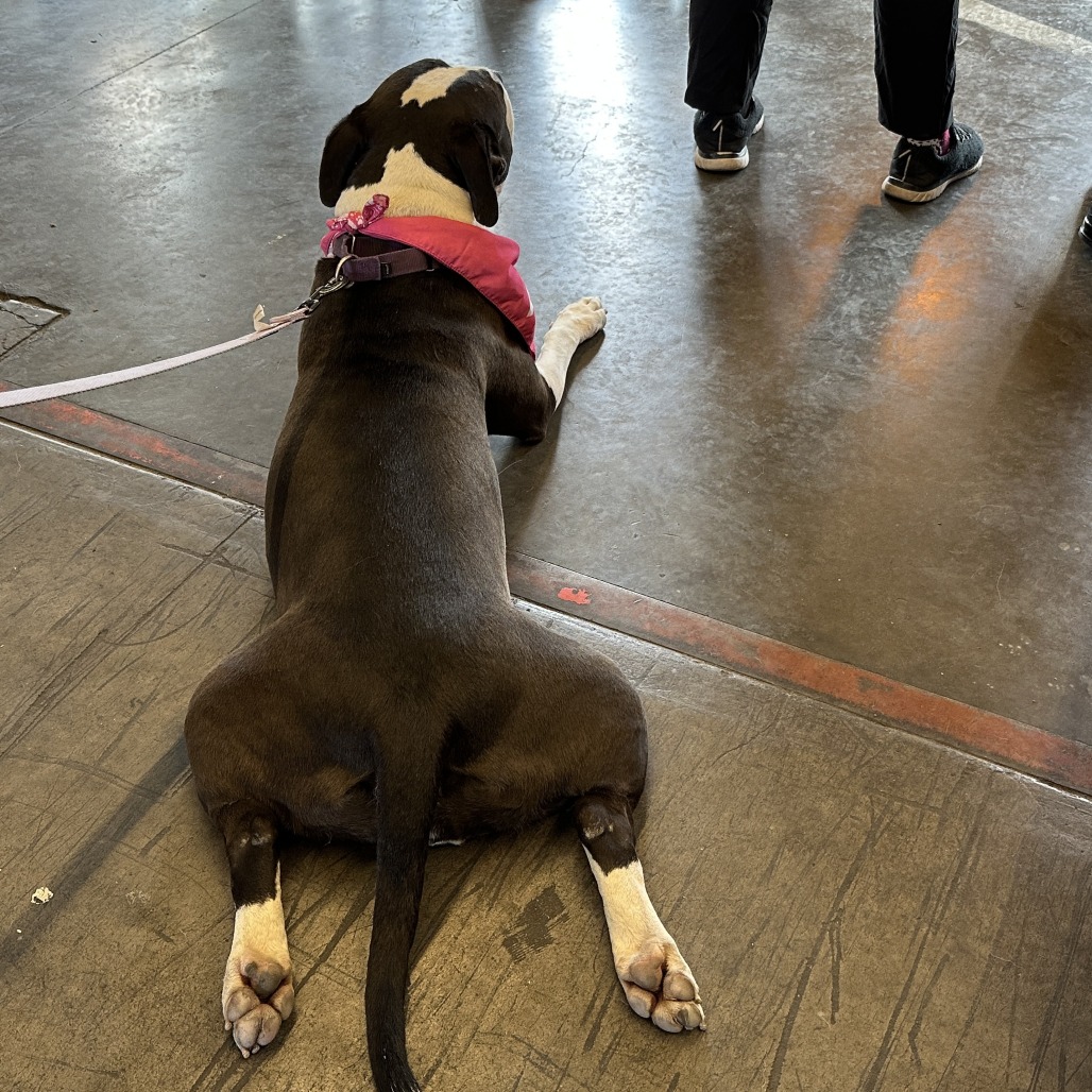Sophia, photo 7