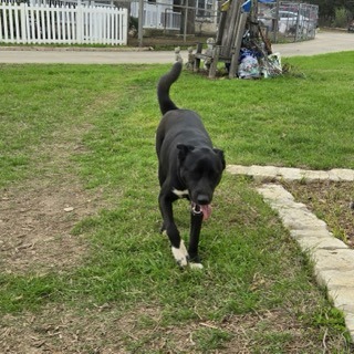 Sabrina, photo 9