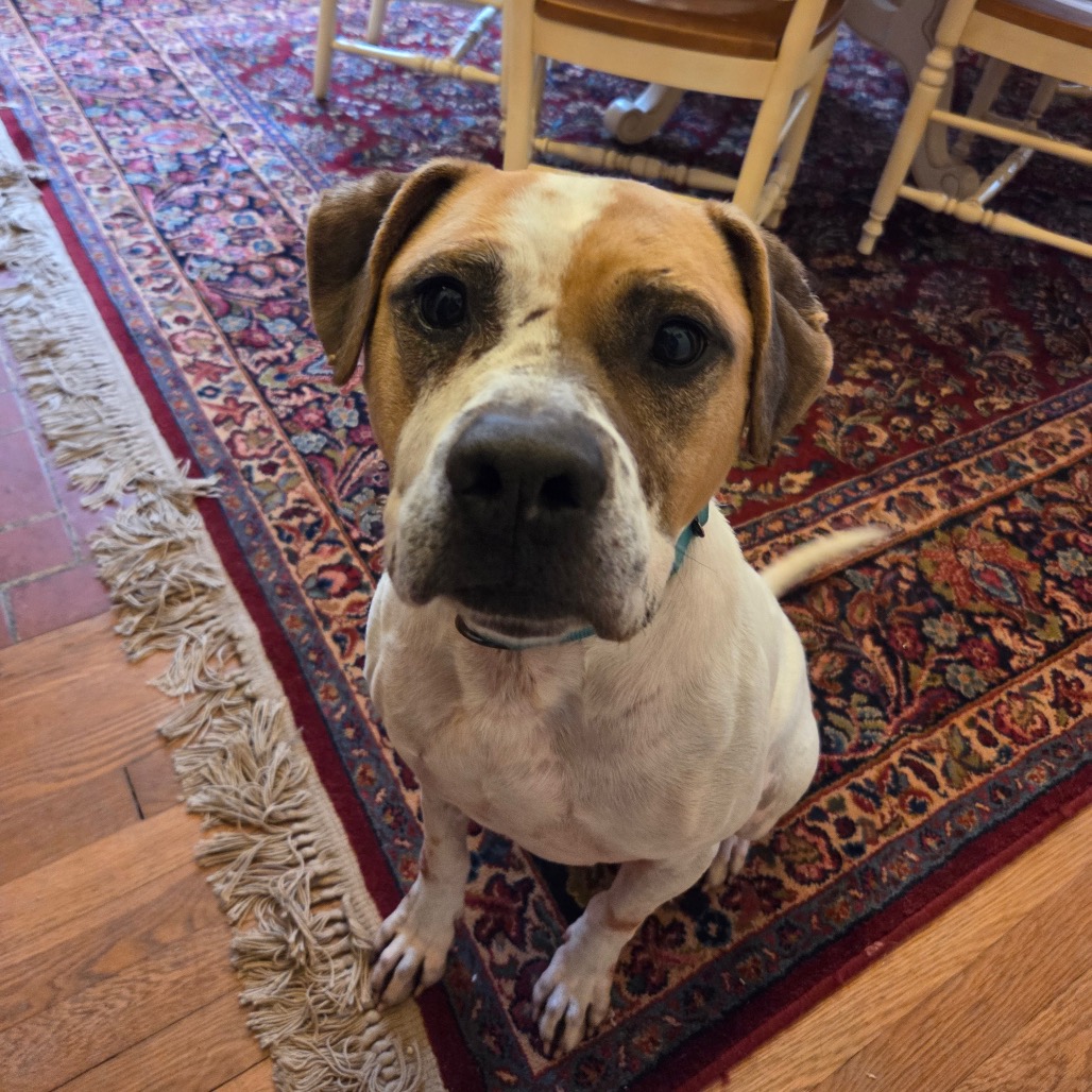 Sammy — thumbnail 2