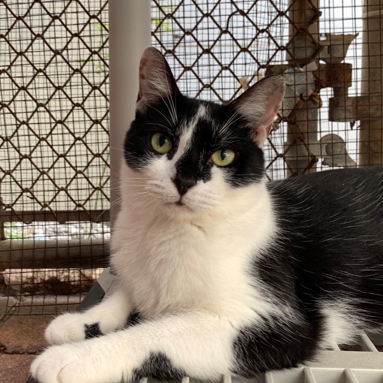 Full body shot of Clause