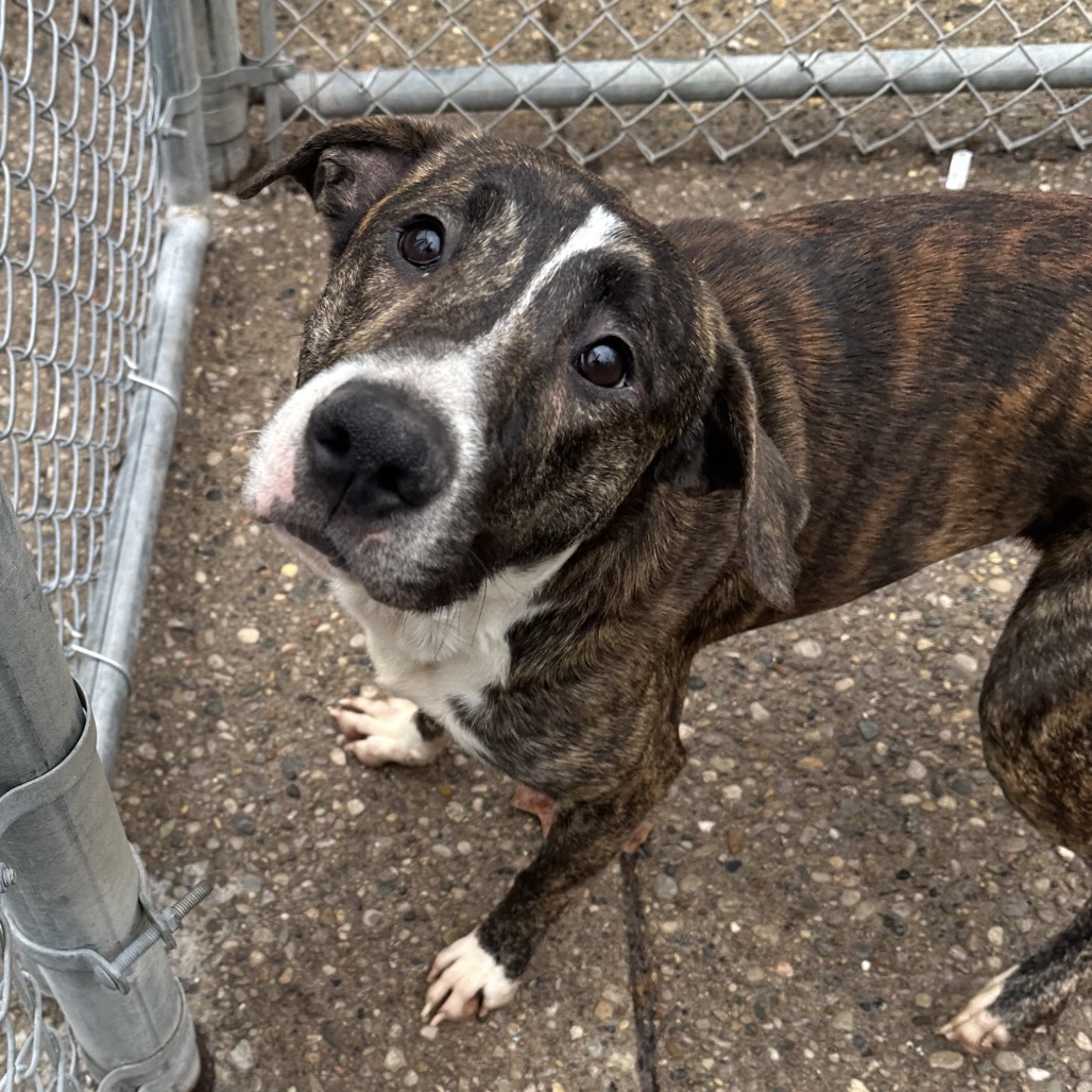 Dean — thumbnail 3