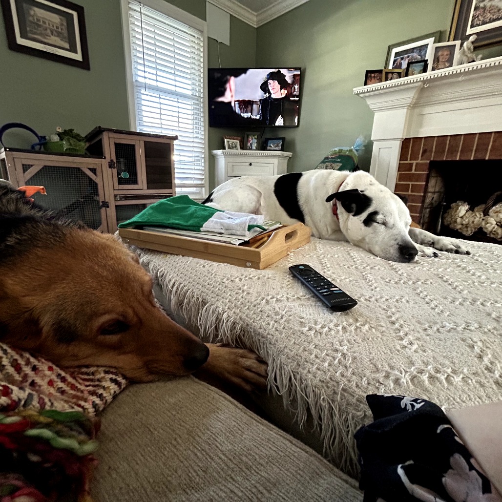 Lucy — thumbnail 5