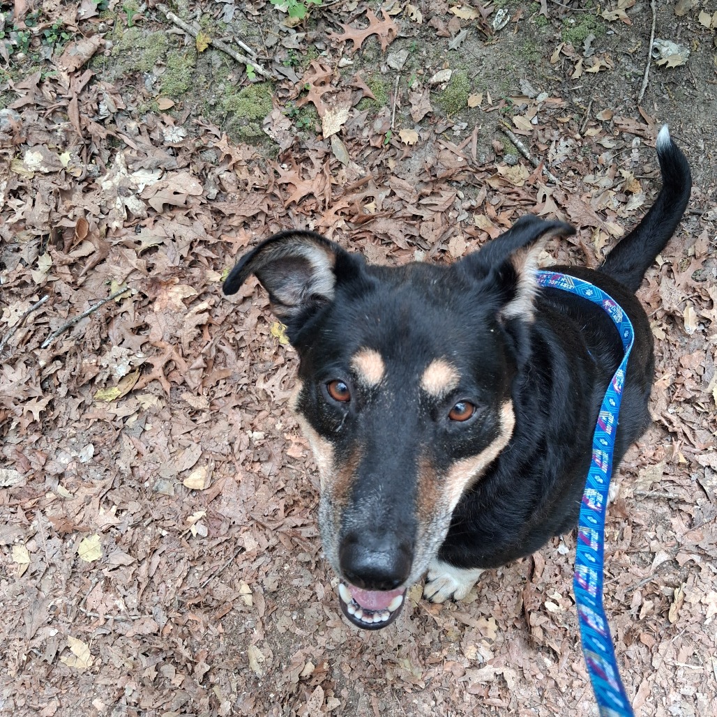 Louie, photo 11
