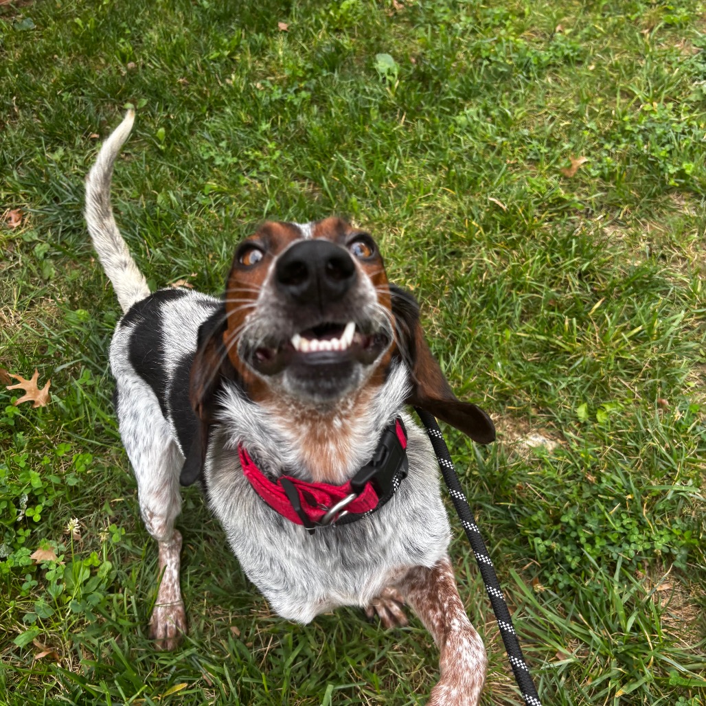 Happy, photo 8