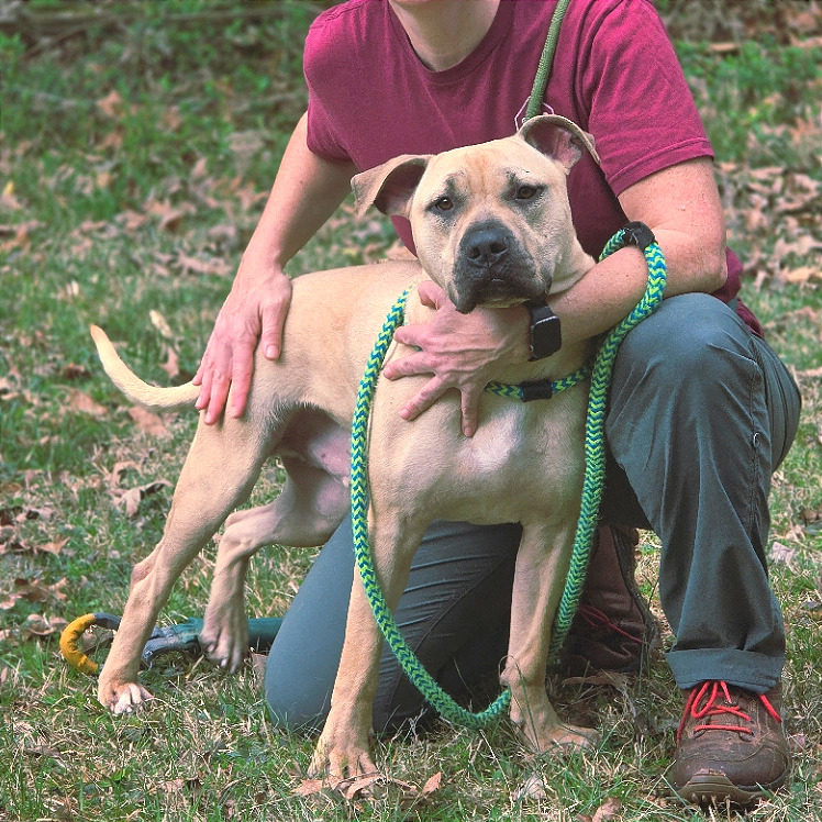 Samwise — thumbnail 10