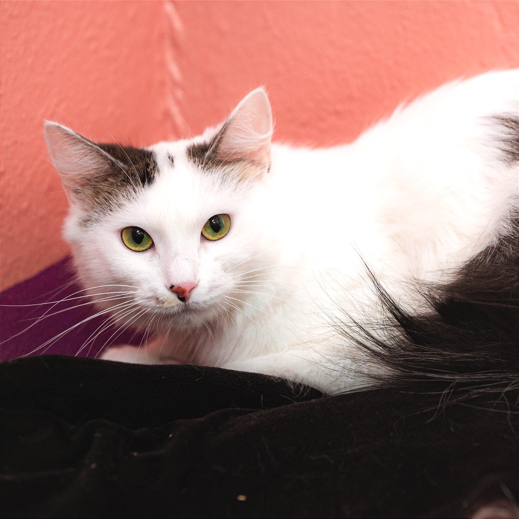 Another portrait of Velma